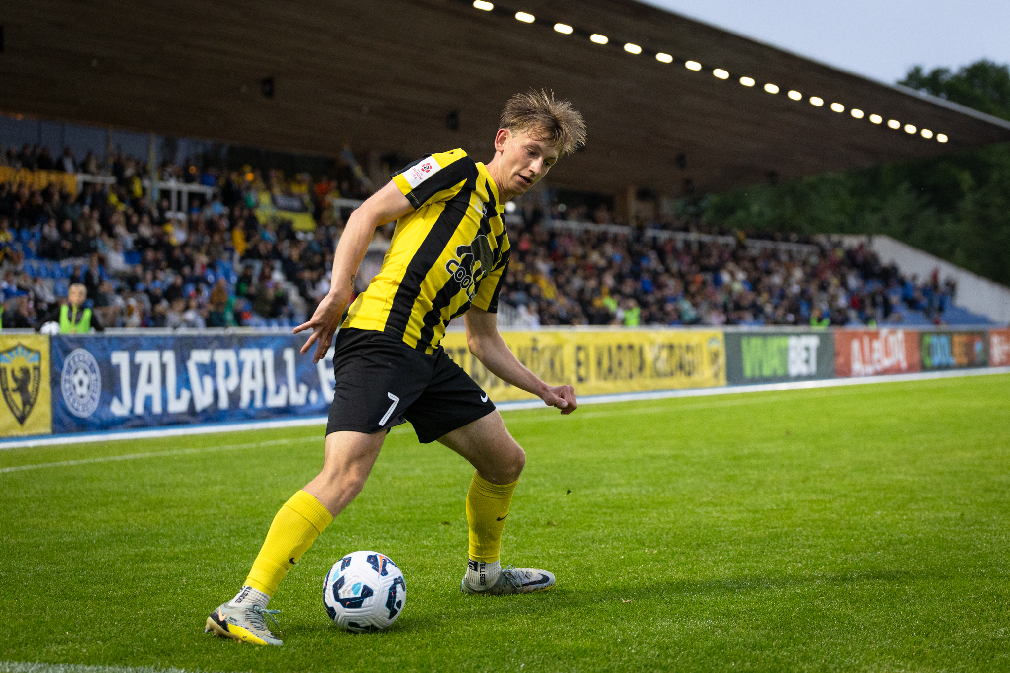 18/36 | Publik annab tiivad